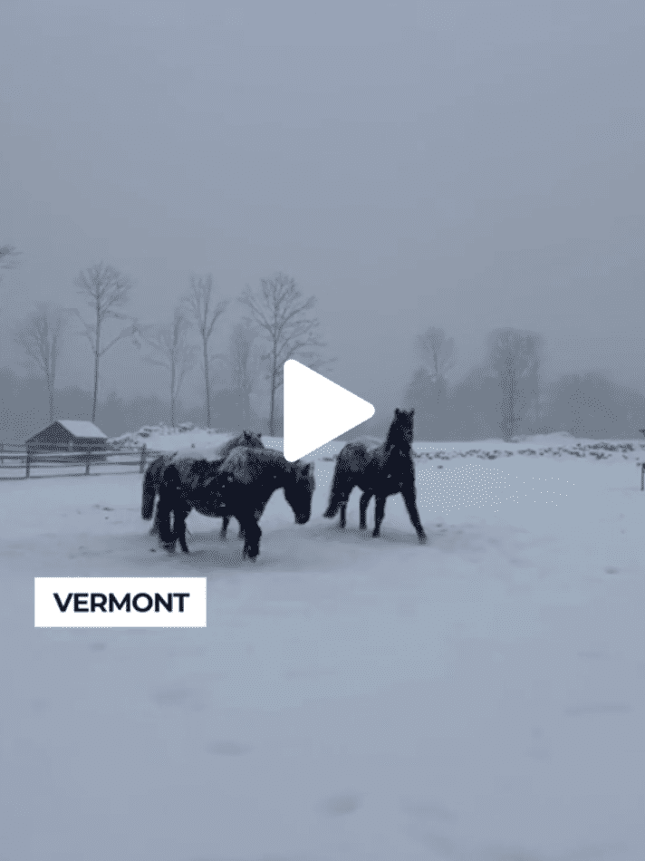 LOCAL VIDEO - Granite Post News